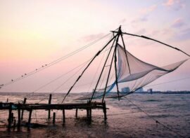 Best Panchakarma Centres in Kochi
